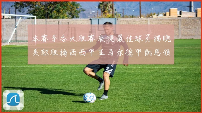 本赛季各大联赛表现最佳球员揭晓美职联梅西西甲亚马尔德甲凯恩领衔